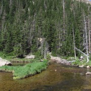 IMG4715.jpg