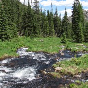IMG4729.jpg