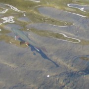 IMG4749.jpg