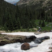 IMG4772.jpg