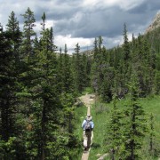 IMG4781.jpg
