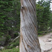 IMG4792.jpg