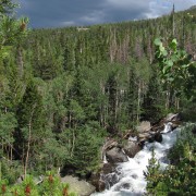 IMG4799.jpg