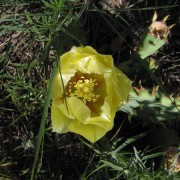 IMG4826.jpg