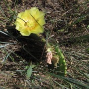 IMG4832.jpg