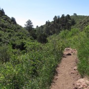 IMG4840.jpg
