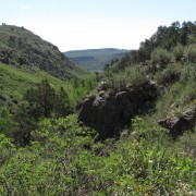 IMG4841.jpg