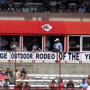 IMG4873.jpg