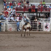 IMG4875.jpg