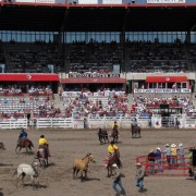 IMG4886.jpg