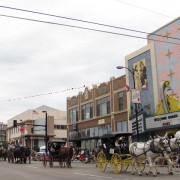 IMG4978.jpg