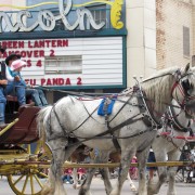IMG4980.jpg