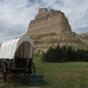 IMG5033.jpg