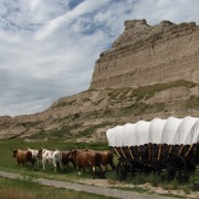 IMG5035.jpg
