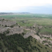 IMG5050.jpg
