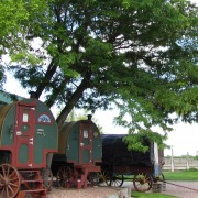 IMG5074.jpg