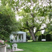 IMG5075.jpg