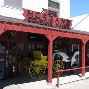 IMG5128.jpg