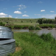 IMG5155.jpg