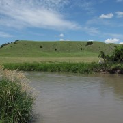 IMG5159.jpg