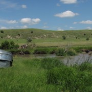 IMG5165.jpg
