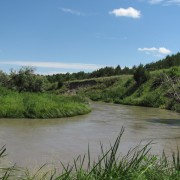IMG5167.jpg