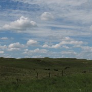 IMG5183.jpg