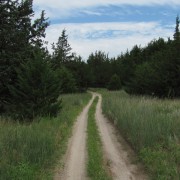 IMG5194.jpg
