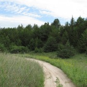 IMG5200.jpg