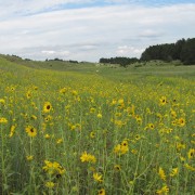 IMG5204.jpg