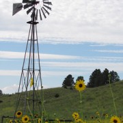 IMG5210.jpg