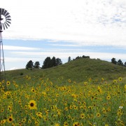 IMG5211.jpg