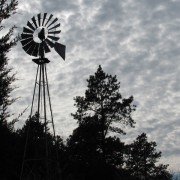 IMG5216.jpg