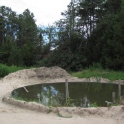 IMG5217.jpg