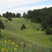 IMG5220.jpg