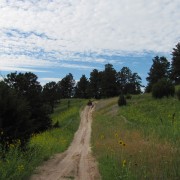 IMG5221.jpg