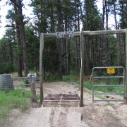 IMG5222.jpg