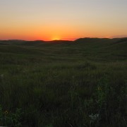 IMG5231.jpg