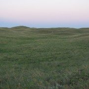 IMG5234.jpg