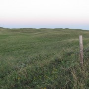 IMG5235.jpg