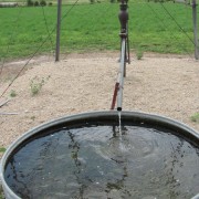 IMG5271.jpg