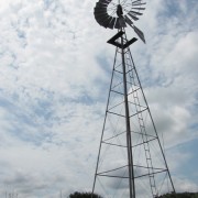 IMG5277.jpg