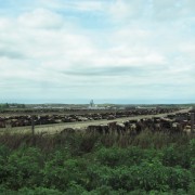 IMG5284.jpg