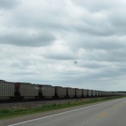 IMG5302.jpg