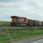 IMG5305.jpg