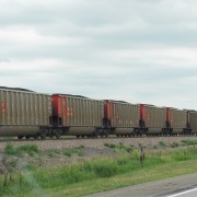 IMG5306.jpg