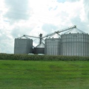 IMG5311.jpg
