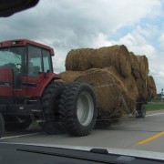 IMG5313.jpg