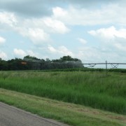 IMG5325.jpg