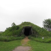 IMG5363.jpg